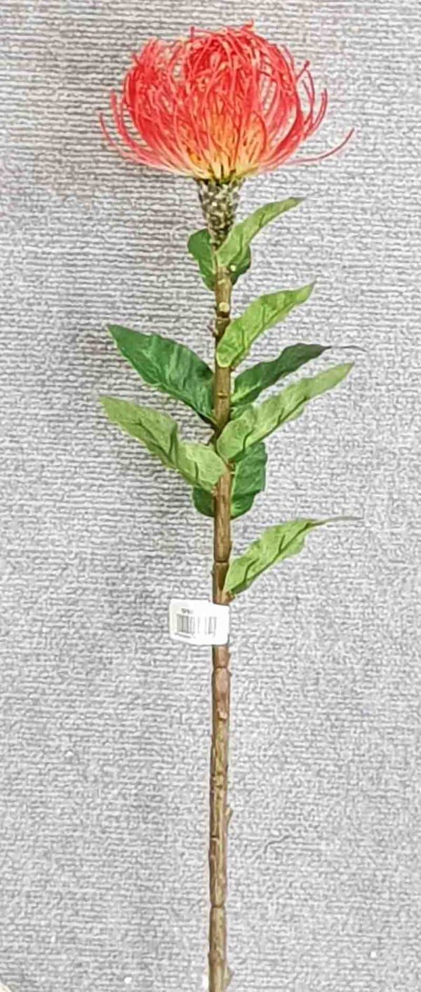 Pincushion Protea Single large – Red