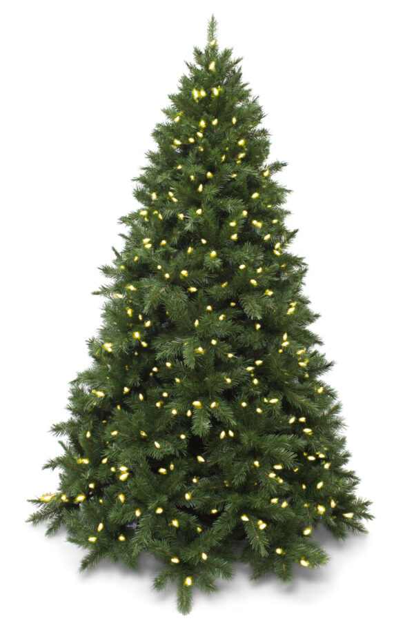 8ft Vienna Spruce Christmas Tree Hinged 2.44m Outdoor Pre Lit with 416 LED’s