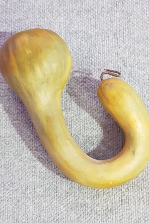 Vegetable Gourd Loop