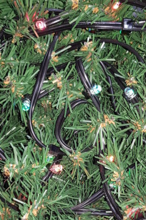 Commercial Christmas Lights LED x 100 Colour Changing LED with Black cord (Indoor)