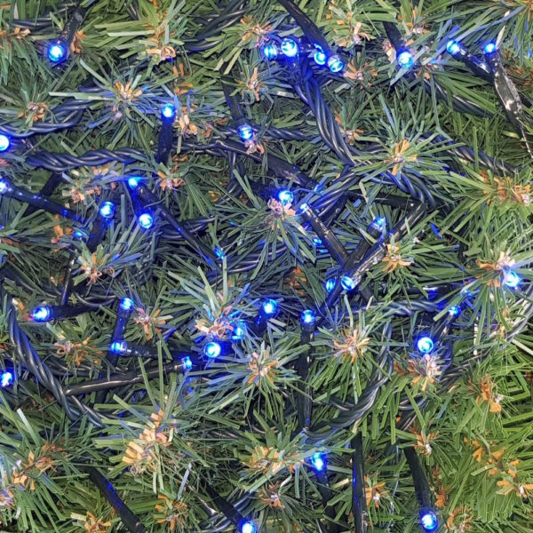 Christmas Tree LED Rice Lights x 160 Blue with Green cord