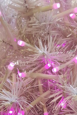 Wedding Lights