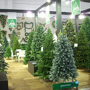 forever-green1 forever-green1