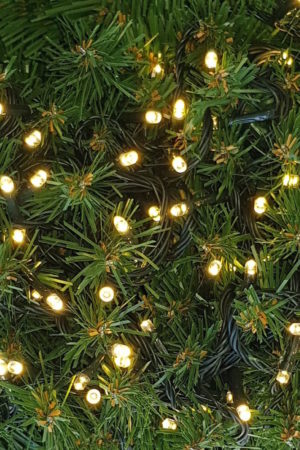 Christmas Light Warm White