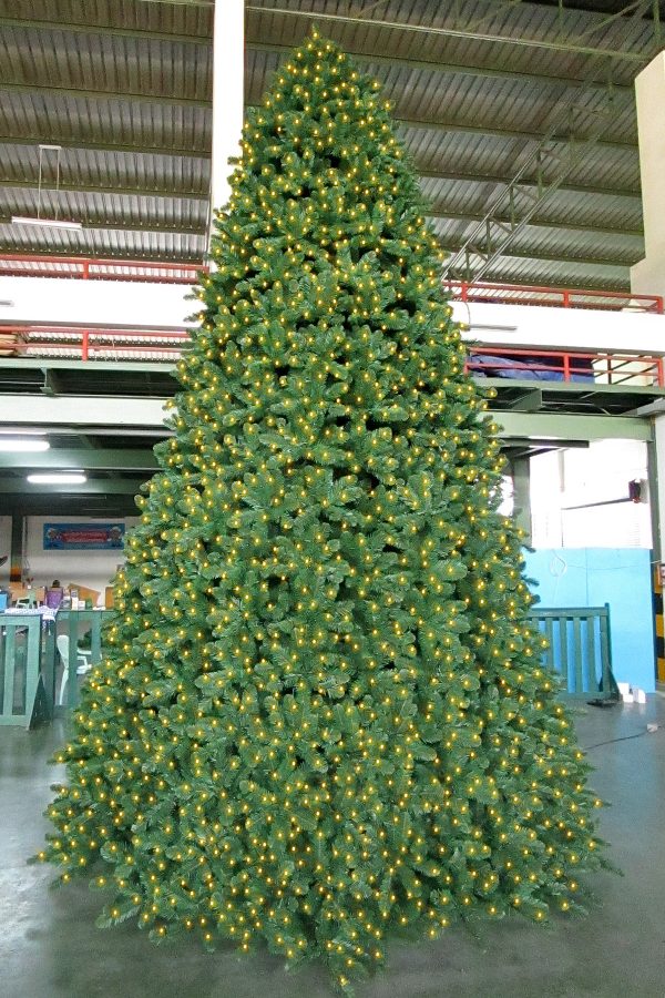 Pinewood Spruce Indoor with Lights