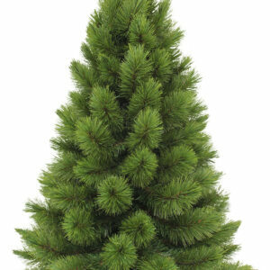 Pitch Pine 3ft