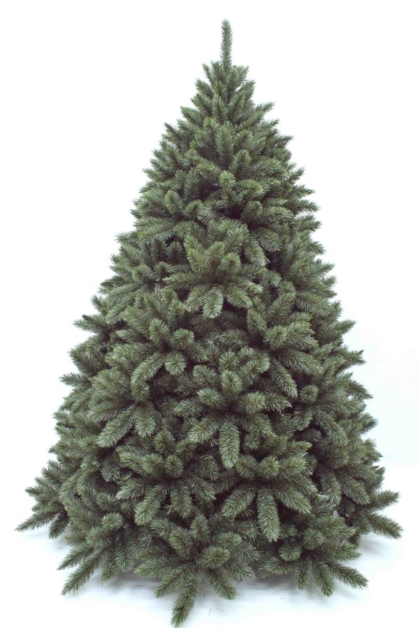 8.5ft Regal Spruce Christmas Tree New Growth Blue Green 2.59m