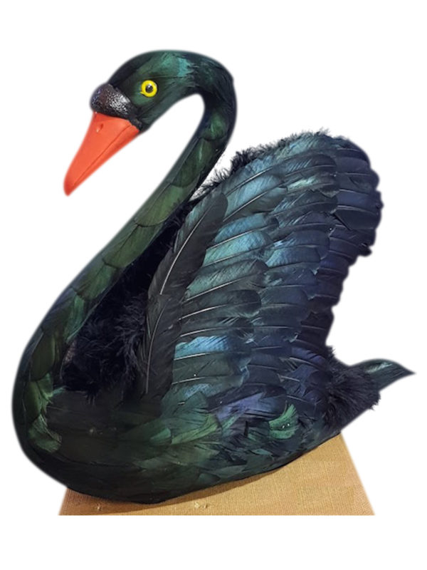 Bird Swan Black