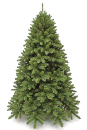 Traditional Trees