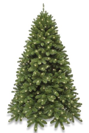 8ft Pre Lit Scandia Spruce Christmas Tree Hinged 2.44m with 720 LED’s