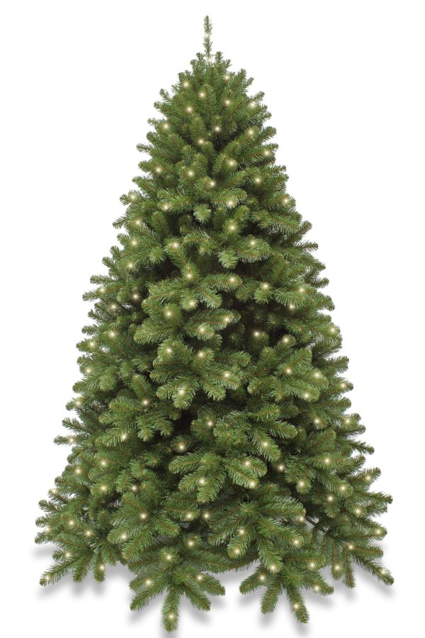 8ft Pre Lit Scandia Spruce Christmas Tree Hinged 2.44m with 720 LED’s