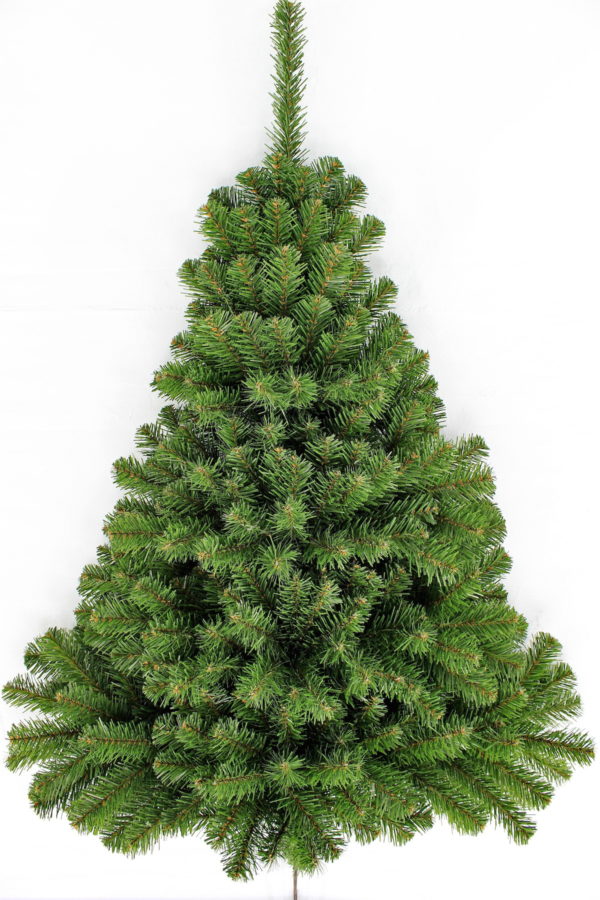 3' Wall Sequoia upright