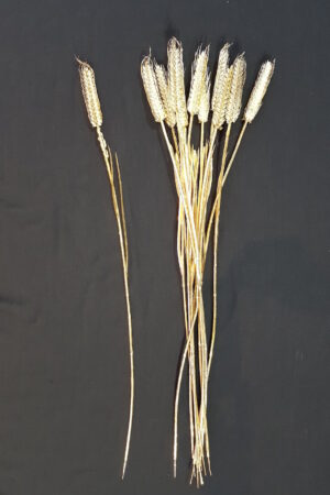 Wheat Single Gold Plated