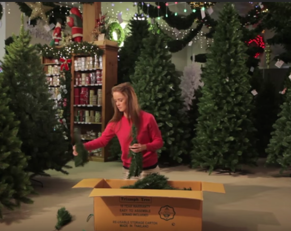 How to Set Up Triumph Christmas Trees